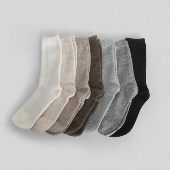 타니 울 캐시 socks (7color)